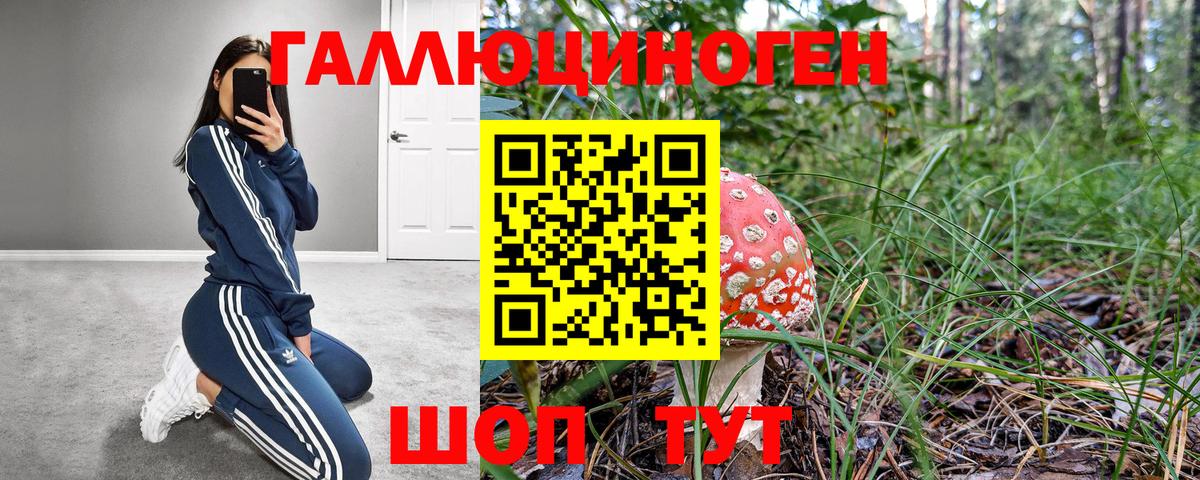 как найти закладки  Вход с VPN  Гулькевичи  Галлюциногенные грибы Psilocybine cubensis 